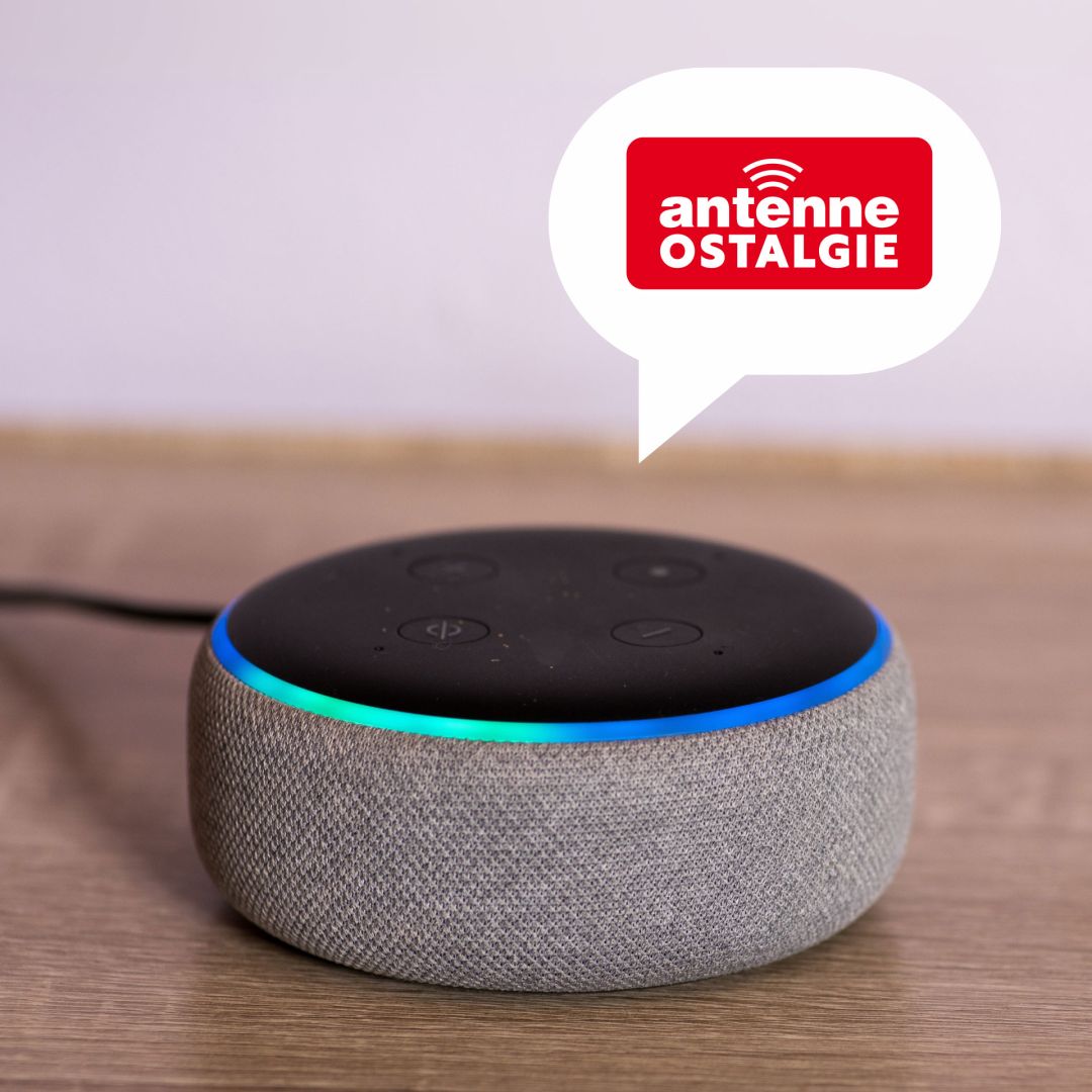 Alexa Skill